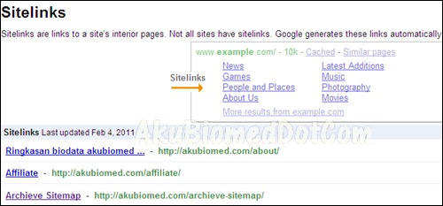 Sitelinks in AkuBiomed's Google Webmaster dashboard 