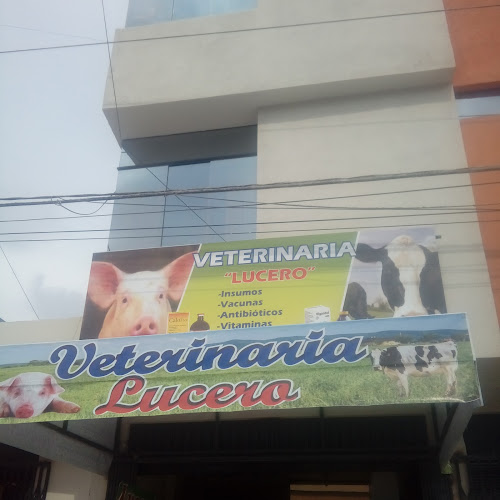 Opiniones de Veterinaria Lucero en Cerro Colorado - Veterinario