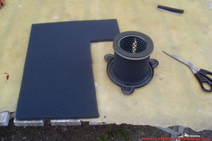 SL377501.JPG