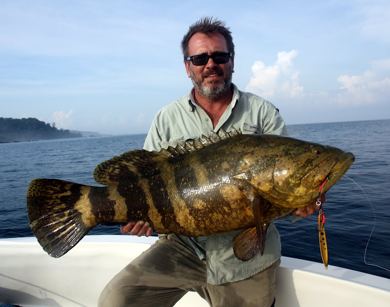 Goliath Grouper on a Jig