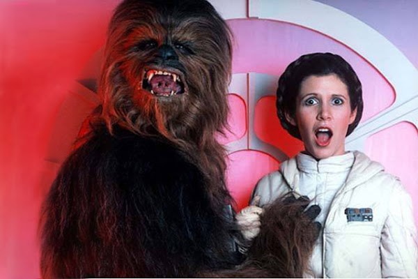 Gallery: Happy Birthday Princess Leia:Safe For Work,dress for girls0