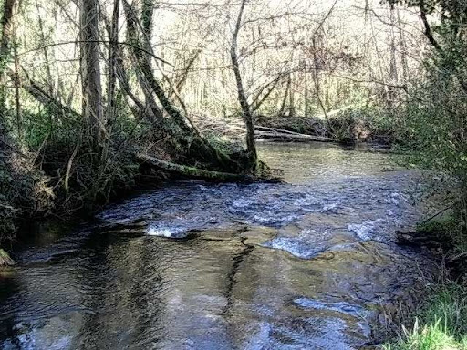 Paseo por el Rio Mandeo R%C3%ADo-Mandeo-5-el-rio