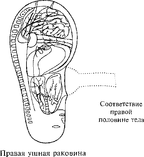 https://lh5.googleusercontent.com/ikzPcDCB7xrpJ1y-TATDcDwicFRsJArFWBUp85NKTSIHCpUveFDPKxtuObmW2MPihUuIcKKR5WwVhcSl-Q8os-6TctsksIVlo0oSmoc2Y96fXyU9o5kKg7OiFBIMD2EVI2b3tELLtpbC0P0NuHV7tE0ynVNkd-tv6zlgEUsjNWkmV7IKS3DAaCWxjiqvohnt4pQ