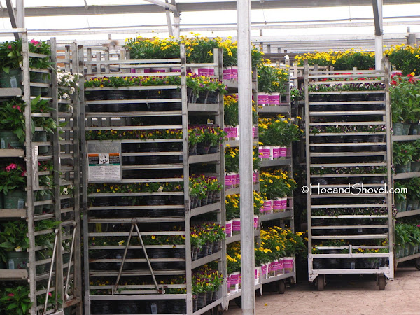 Riverview Flower Farm Has 56 Acres Of Production On 151 They Distribute To 144 S From