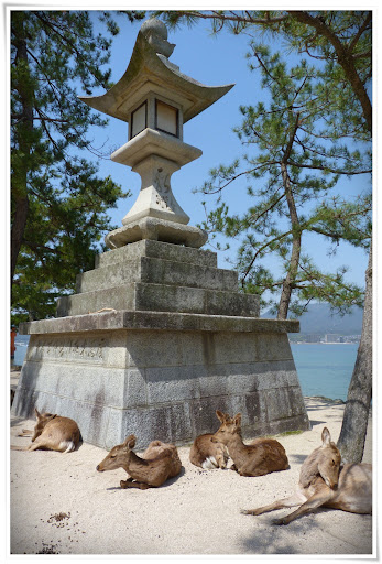 Miyajima: ciervos sagrados y pequeños cabezones. - Japón es mucho más que Tokyo (2)