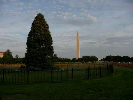 Nueva York y Washington DC - Blogs de USA - Día 4 - Nos vamos a Washington (19)