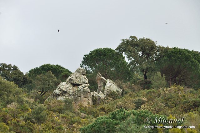 Sendero La Teja