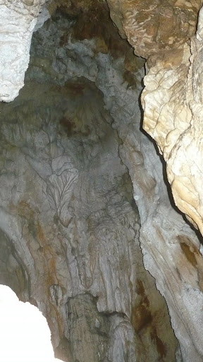 la randonée des Grottes a la st Beaume P1120507