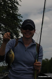 big sunfish 