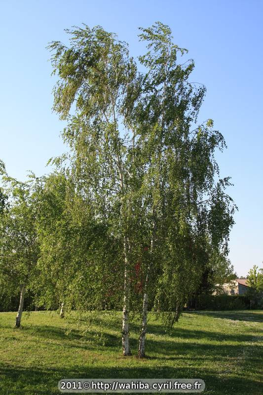 Parc Lamartine à Frouzins