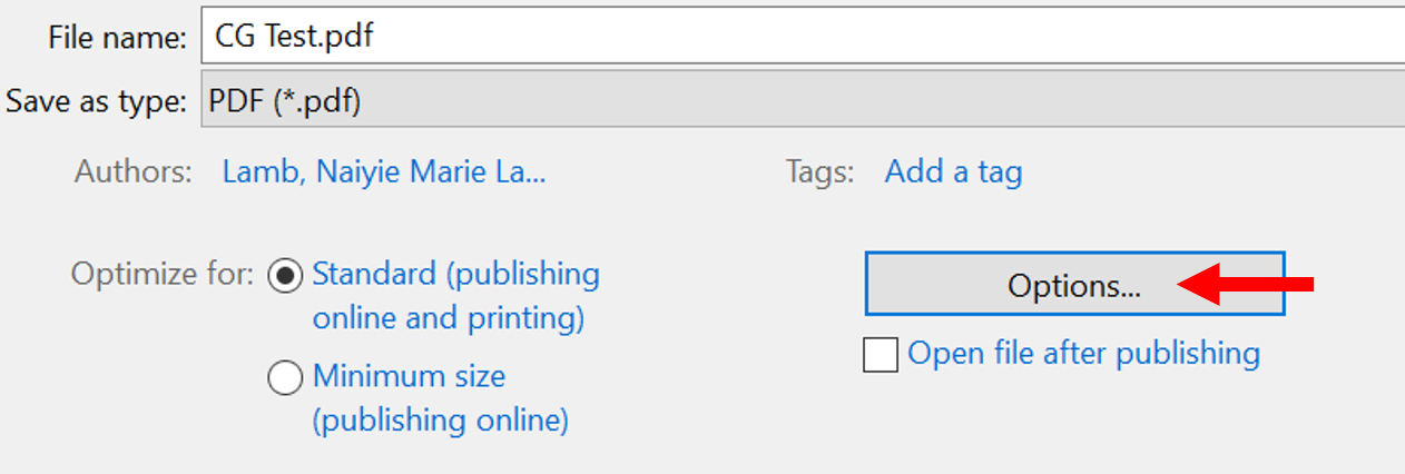 Screenshot showing Options during file saving