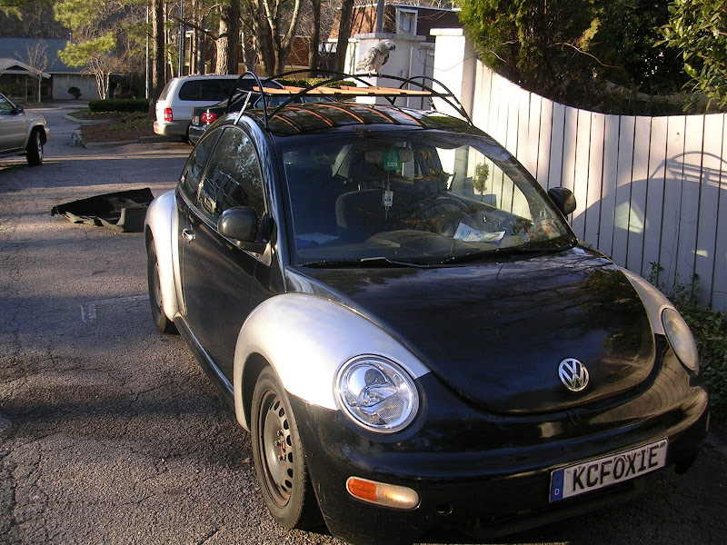 Vw new store beetle roof rack