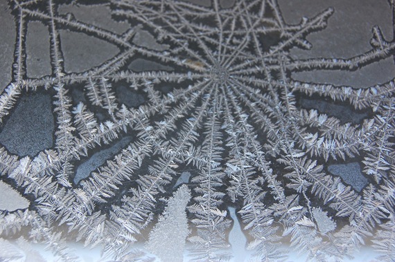 [spiderweb frost[2].jpg]
