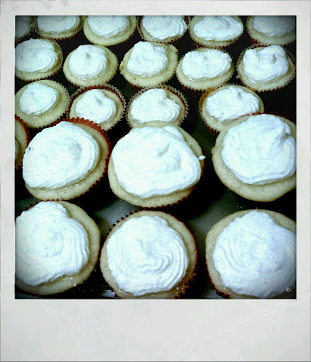 Vanilla bean cupcakes