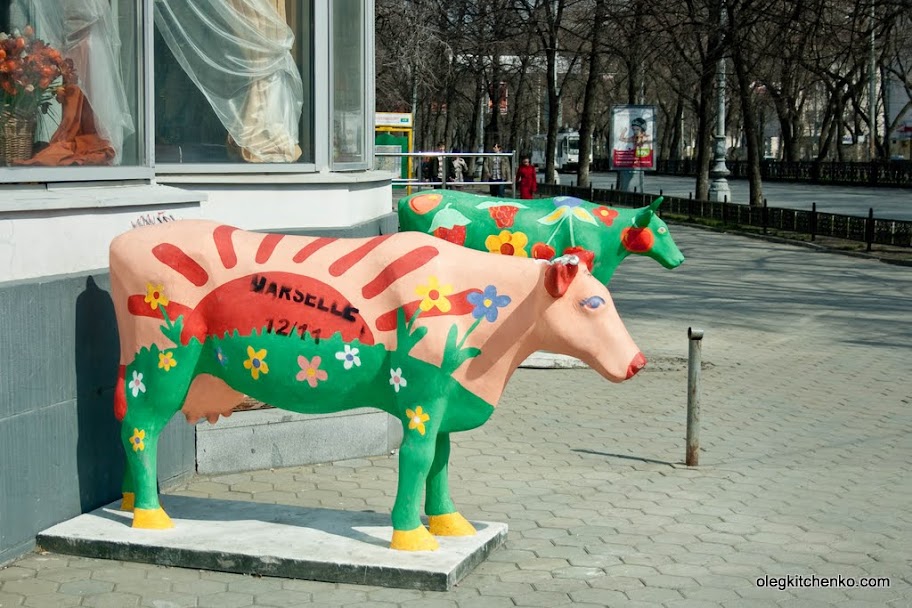 Екатеринбургские коровы