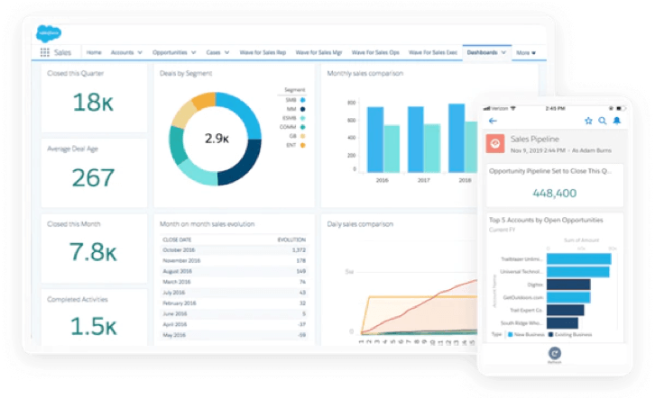 sales force interface