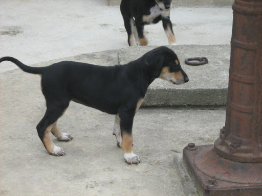IMG_7687.JPG