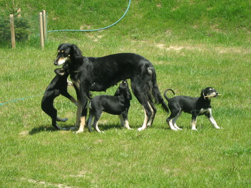 IMG_8154.JPG