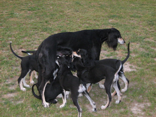 IMG_8908.JPG