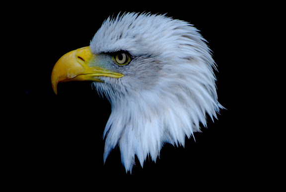 https://lh4.googleusercontent.com/_Thn4ZVj8D0c/TYk4dN9ymYI/AAAAAAAACPY/nLYfGdHef5w/s576/DSC_0804.JPG