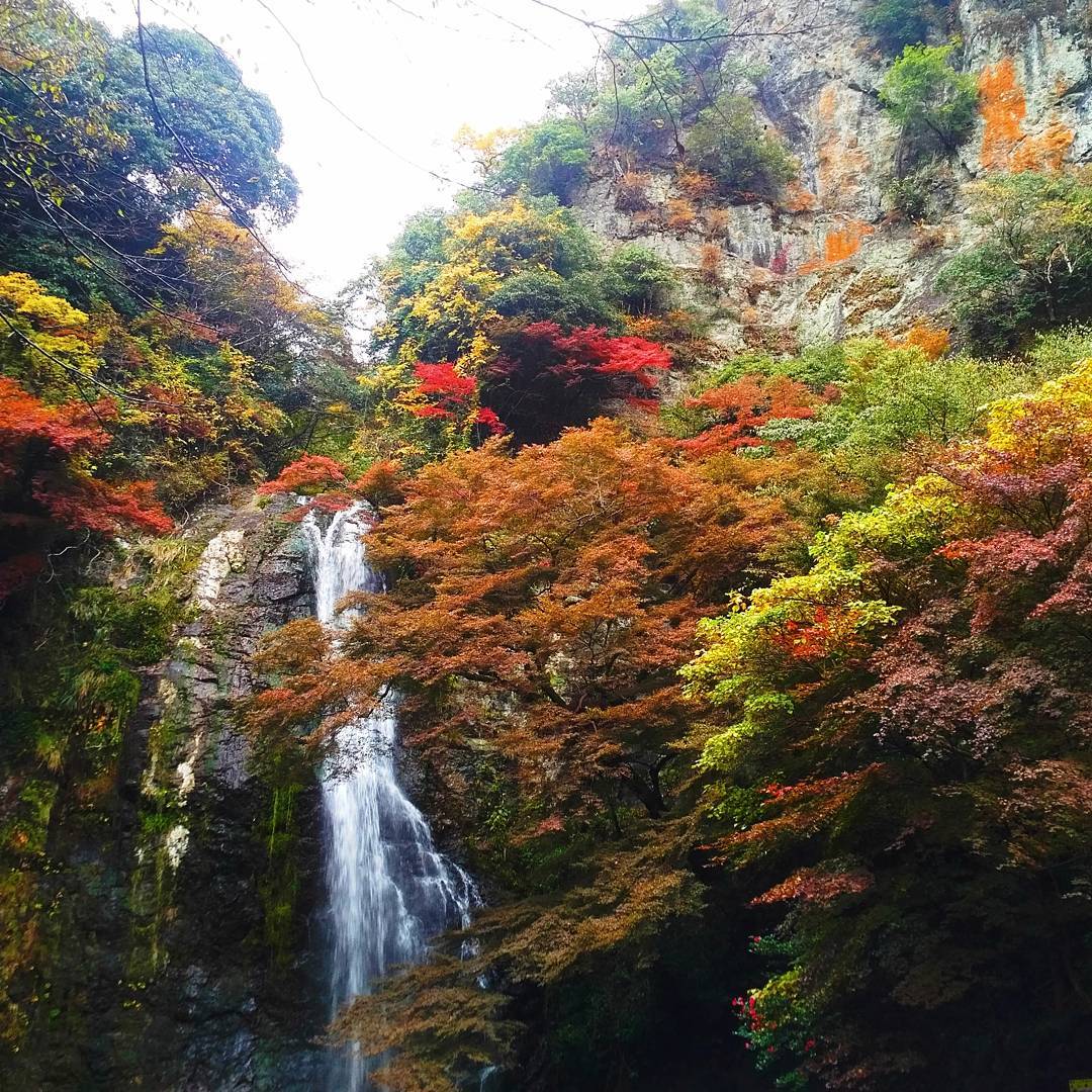ที่เที่ยวสุดฮิตในโอซาก้า 2021 น้ำตกมิโน (Minoo Waterfall) 03