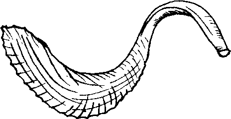 .com/