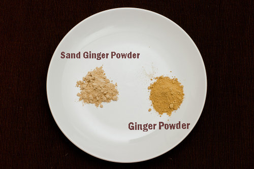 Sand Ginger Powder and Ginger Powder