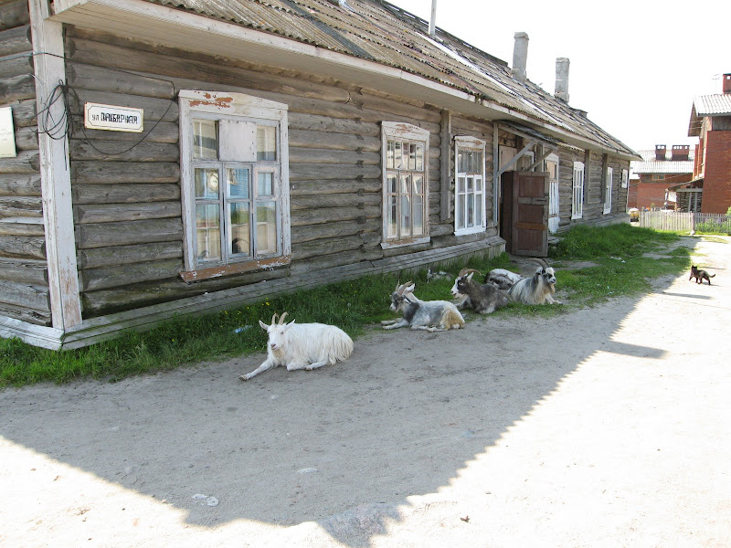 Автопутешествие на Соловки