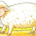 Ферма. Домашние животные. "Кудрявые овечки". Апрель 2011.