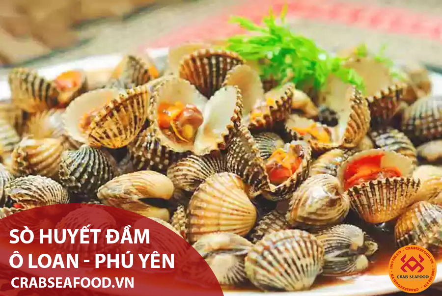 Sò huyết đầm Ô Loan - Hải sản biển ngon nhất Việt Nam