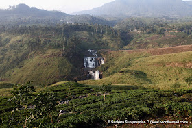 St. Clair's Falls surrounded by tea estates