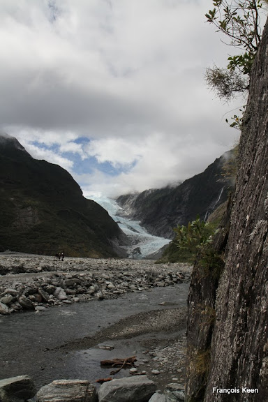 NZ - Franz Josef Glacier