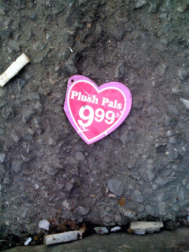heart