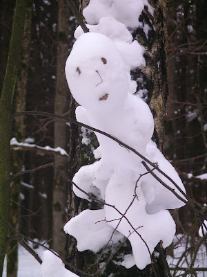 Снежные звери