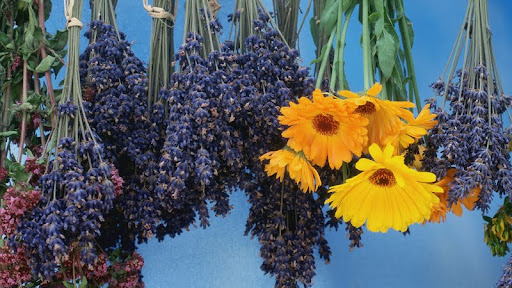 Lavender and Marigolds.jpg