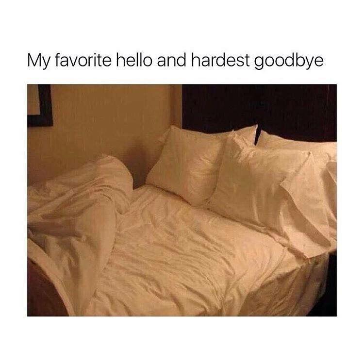 My fav hello and hardest goodbye | You're my favorite, Relatable, Sarcasm  only