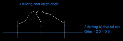 Hình đã gửi