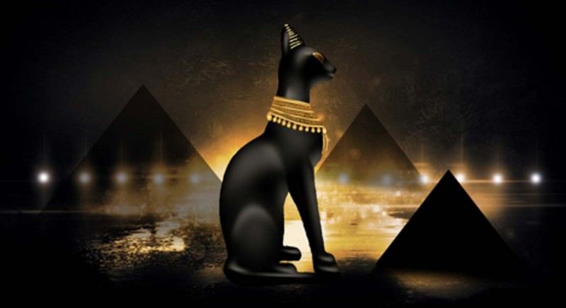 หลักฐานการเลี้ยงแมวบนรูปฝาผนังของชาวอียิปต์