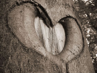 The Heart Of Nature