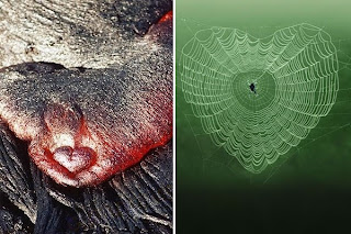 The Heart Of Nature