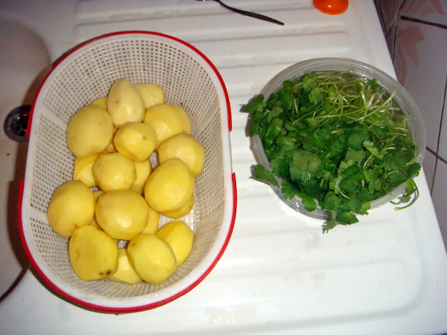 DSC08602.JPG