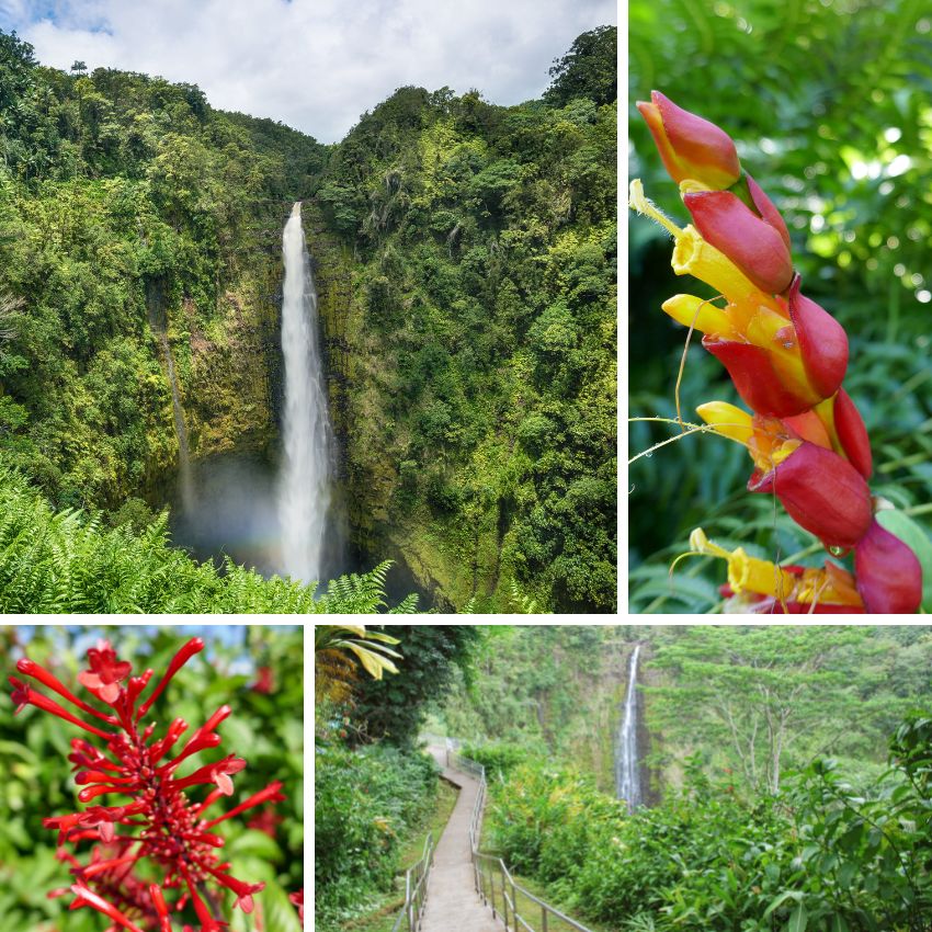 How Long Does It Take to Drive Around the Big Island (Best Stops)