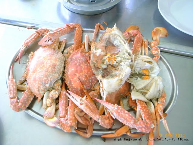 รูปภาพ