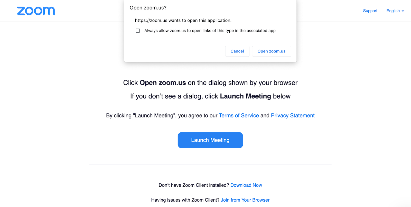 Screenshot from Zoom meeting launch