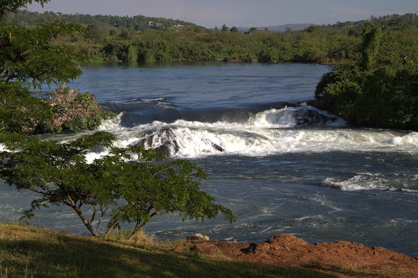 The source of the White Nile