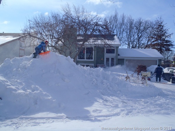 [Snowpocalypse 2011 Sledding while Daddy shovels out[8].jpg]