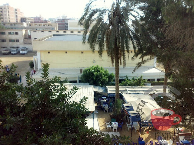 صور كلية التربية جامعة طنطا 2011 12