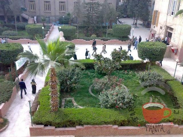 صور كلية التربية جامعة طنطا 2011 8