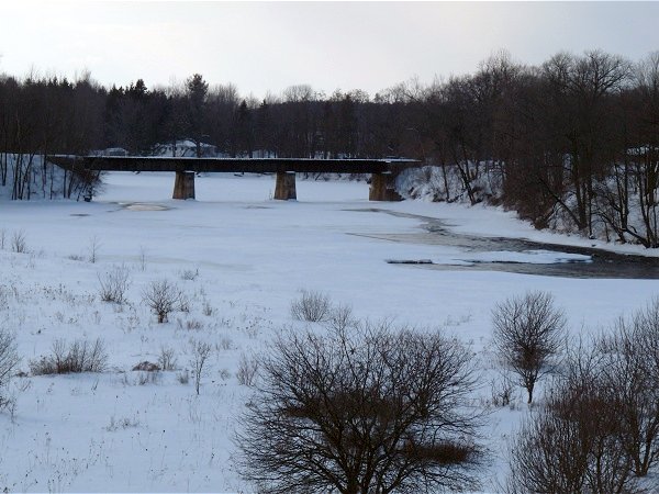 Grasse River at Chase Mills - Feb 12. 2011