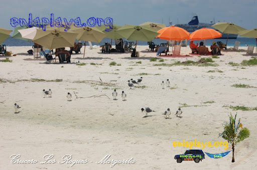 Playa Madrisqui DF008, Los Roques, Entre las mejores playas de Venezuela